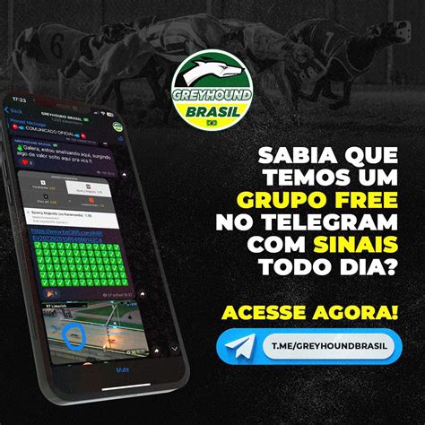 GREYHOUND BRASIL (@greyhoundbrasil) • Instagram photos .
